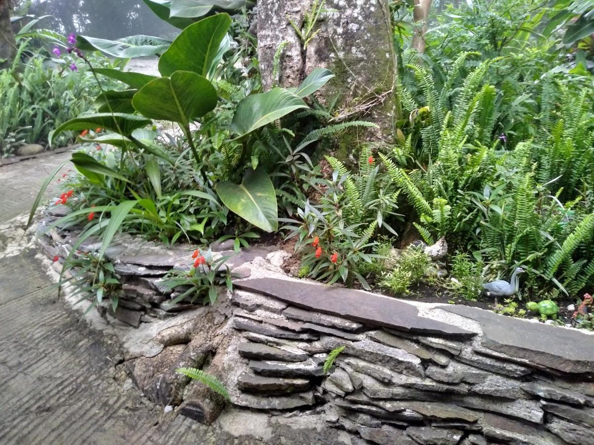 Cabanas La Montana Mountain Lodge Monteverde Bagian luar foto