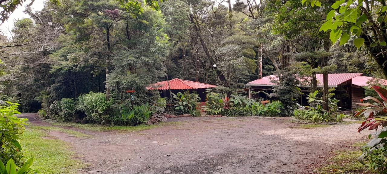 Cabanas La Montana Mountain Lodge Monteverde Bagian luar foto