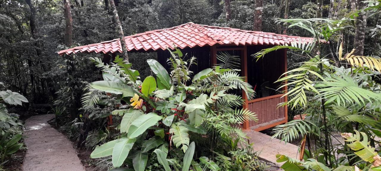 Cabanas La Montana Mountain Lodge Monteverde Bagian luar foto