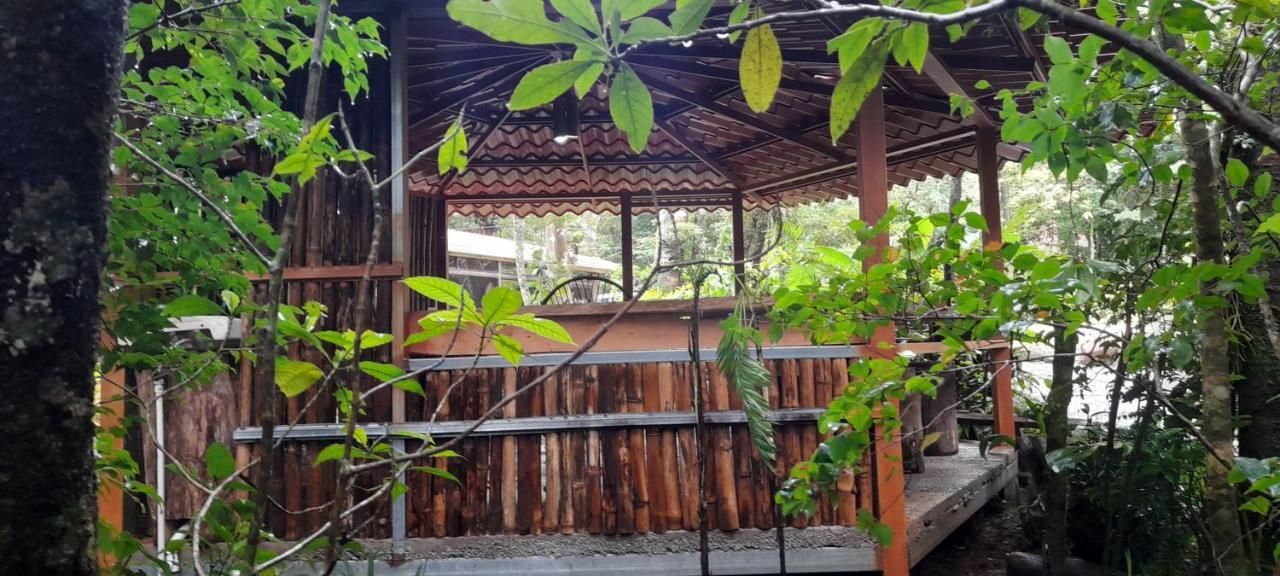 Cabanas La Montana Mountain Lodge Monteverde Bagian luar foto