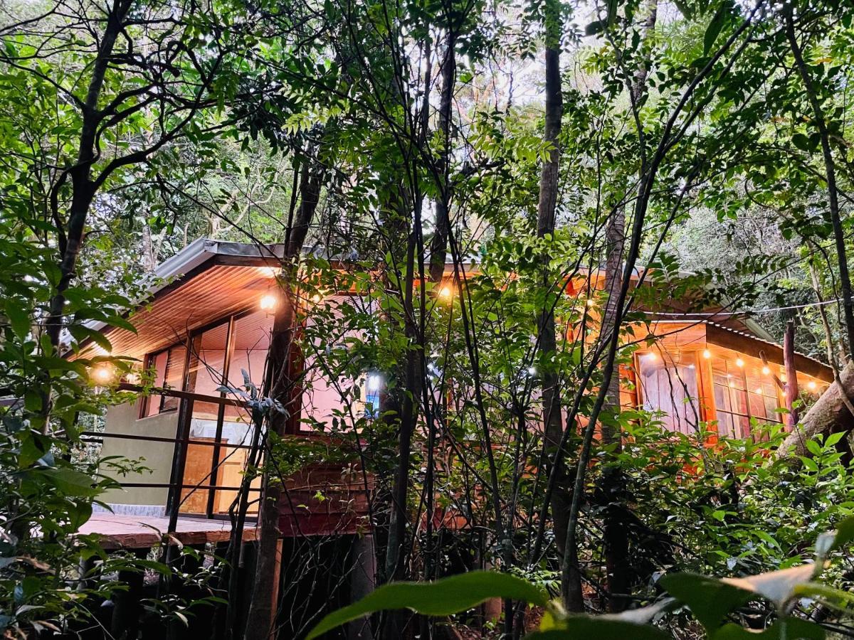 Cabanas La Montana Mountain Lodge Monteverde Bagian luar foto