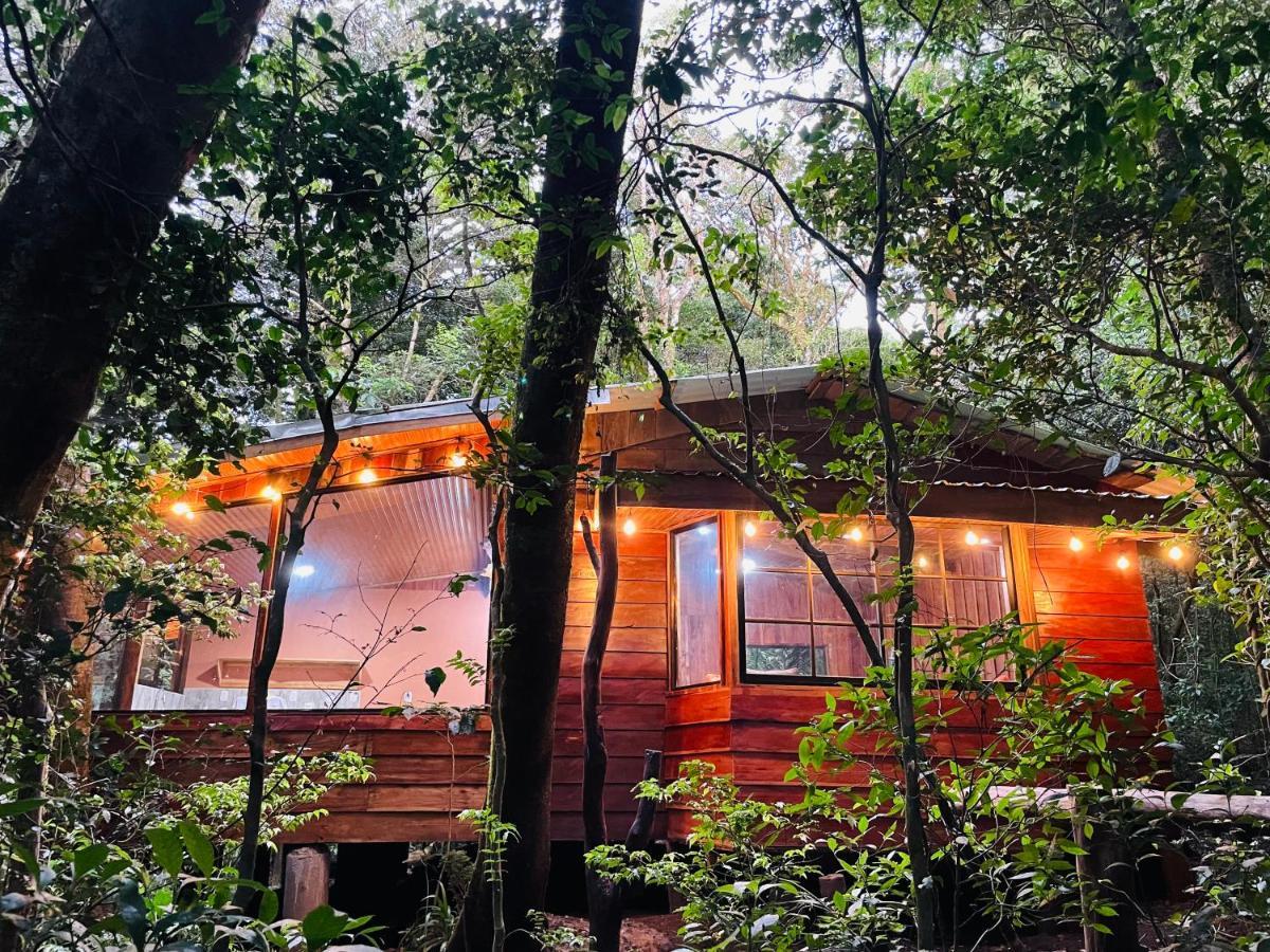 Cabanas La Montana Mountain Lodge Monteverde Bagian luar foto